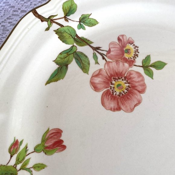 Sangostone Pink Blossom Dinner Plate - Set of 2, Pink Sakura Flowers, Tan Center - Picture 3 of 5